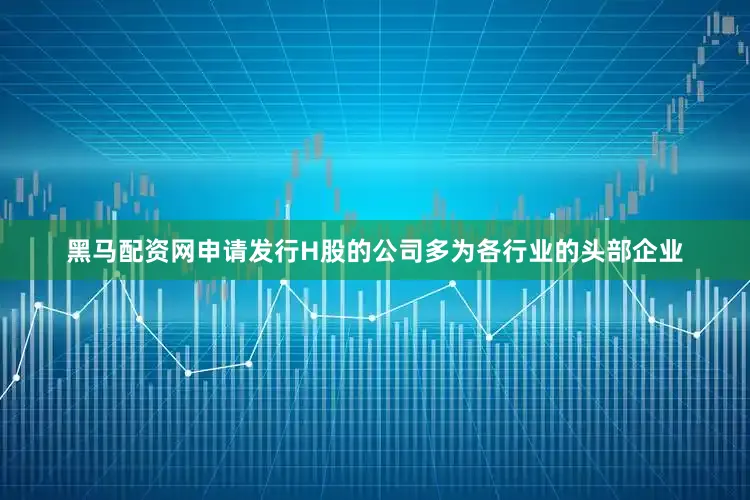 黑马配资网申请发行H股的公司多为各行业的头部企业