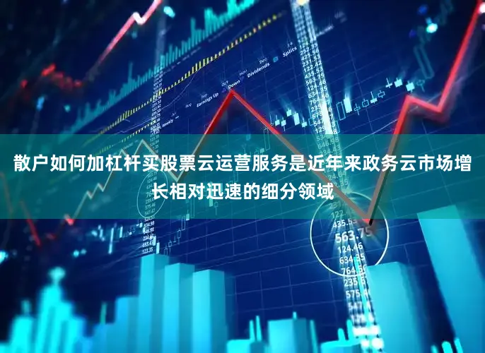 散户如何加杠杆买股票云运营服务是近年来政务云市场增长相对迅速的细分领域