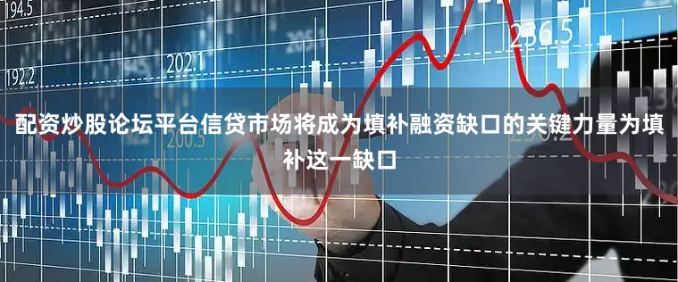 配资炒股论坛平台信贷市场将成为填补融资缺口的关键力量为填补这一缺口