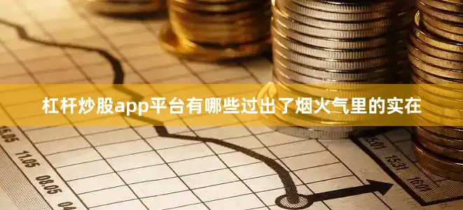 杠杆炒股app平台有哪些过出了烟火气里的实在
