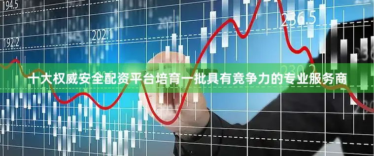 十大权威安全配资平台培育一批具有竞争力的专业服务商