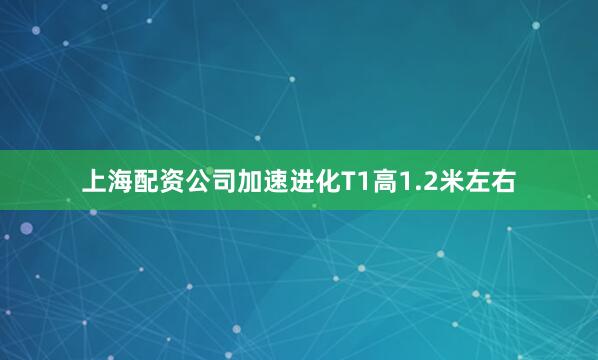 上海配资公司　　加速进化T1高1.2米左右