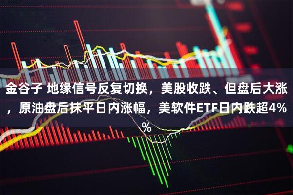 金谷子 地缘信号反复切换，美股收跌、但盘后大涨，原油盘后抹平日内涨幅，美软件ETF日内跌超4%